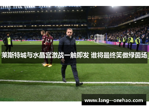 莱斯特城与水晶宫激战一触即发 谁将最终笑傲绿茵场 莱斯特城与水晶宫激战一触即发 谁将最终笑傲绿茵场